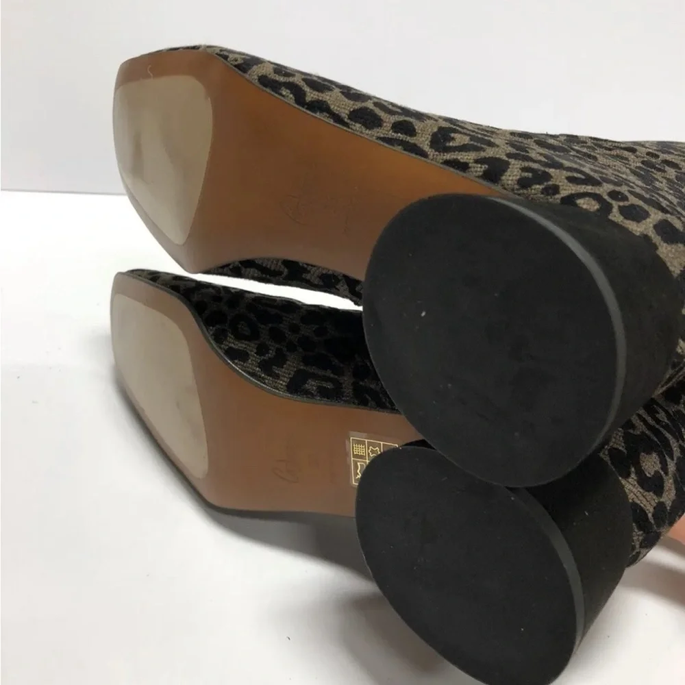 Castaner new box